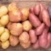 Patate, un alimento sorprendente
