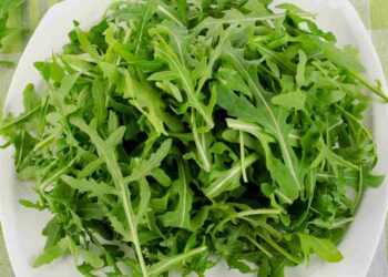 Rucola, la verdura che non ti aspetti