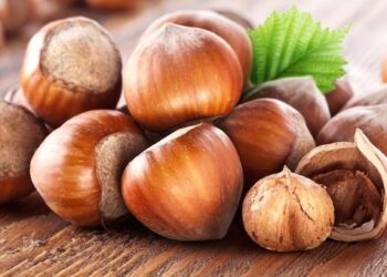 La nocciola del Piemonte protagonista nella gara dei pasticcieri jr