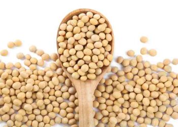La soia fa bene proprio a tutti?