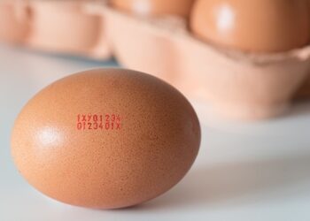 Come scegliere le uova al supermercato?