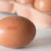 Come scegliere le uova al supermercato?