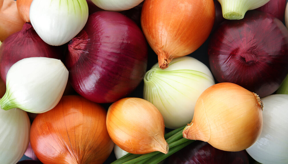 Come scegliere quale cipolla usare