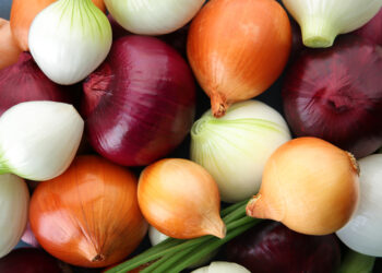Come scegliere quale cipolla usare