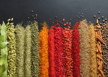 Come scegliere quale curry usare