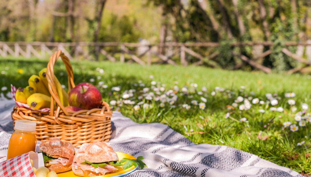 Quali sono i piatti più adatti per un pic nic fuori porta?