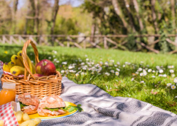 Quali sono i piatti più adatti per un pic nic fuori porta?