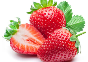 A Isera (TN), la giornata dedicata alla fragola biologica