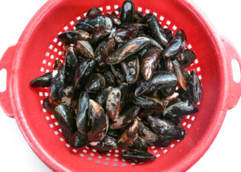 Cozze, come pulirle in pochi passaggi