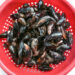Cozze, come pulirle in pochi passaggi