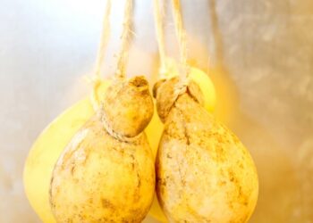 “Sapori Antichi – Dal wilde west all’Irpinia” a Torella dei Lombardi