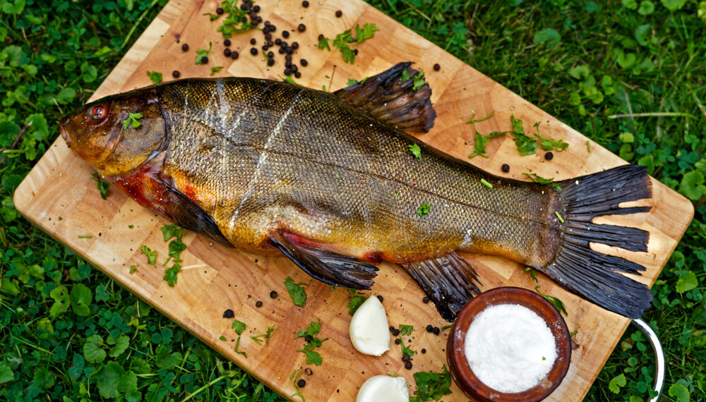 Clusane, dal 13 al 23 luglio c’è la Sagra della Tinca al forno