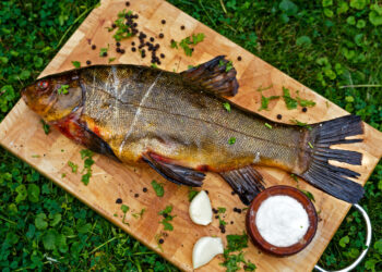 Clusane, dal 13 al 23 luglio c’è la Sagra della Tinca al forno