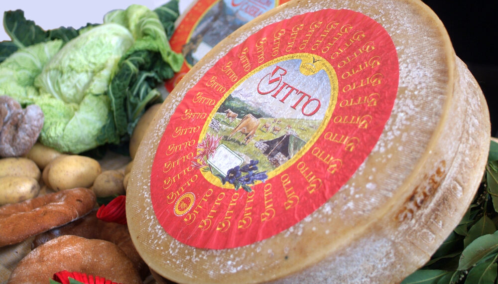 Il Bitto, il re dei formaggi valtellinesi