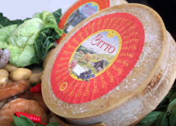 Il Bitto, il re dei formaggi valtellinesi