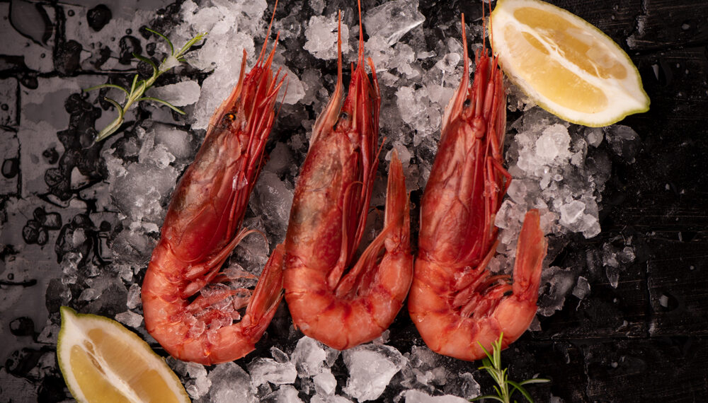 Federpesca, preoccupazione per il gambero rosso di Mazara