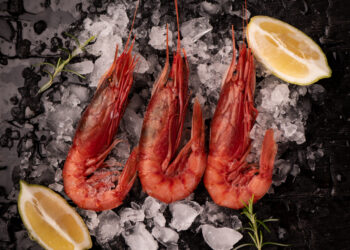 Federpesca, preoccupazione per il gambero rosso di Mazara