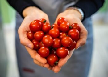 Pomodori, alleati della dieta e della prevenzione del cancro