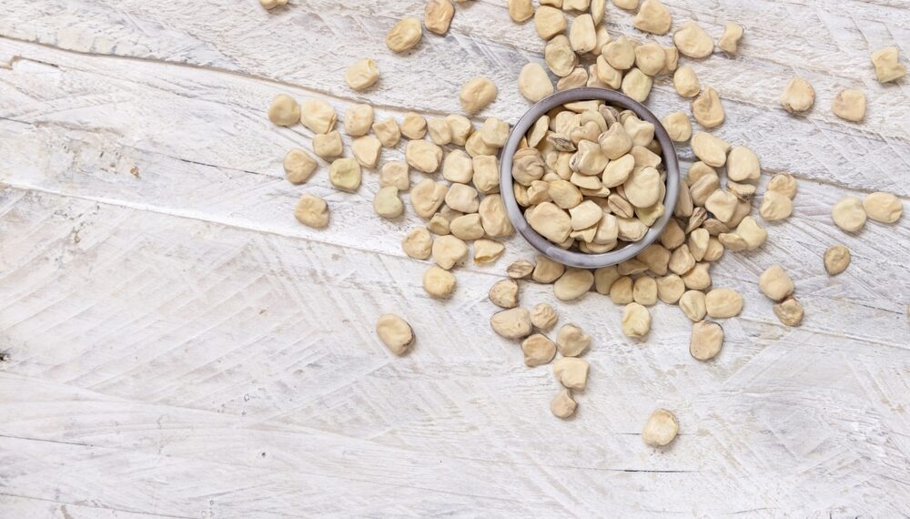 Il moco delle Valli della Bormida, l’antico legume scoperto in Liguria