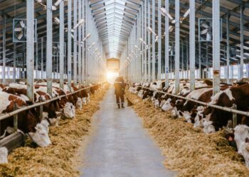 Coldiretti, annata nera per produzione di latte e agricoltura