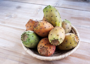 Dai fichi d'India nasce il liquore Fichissimo