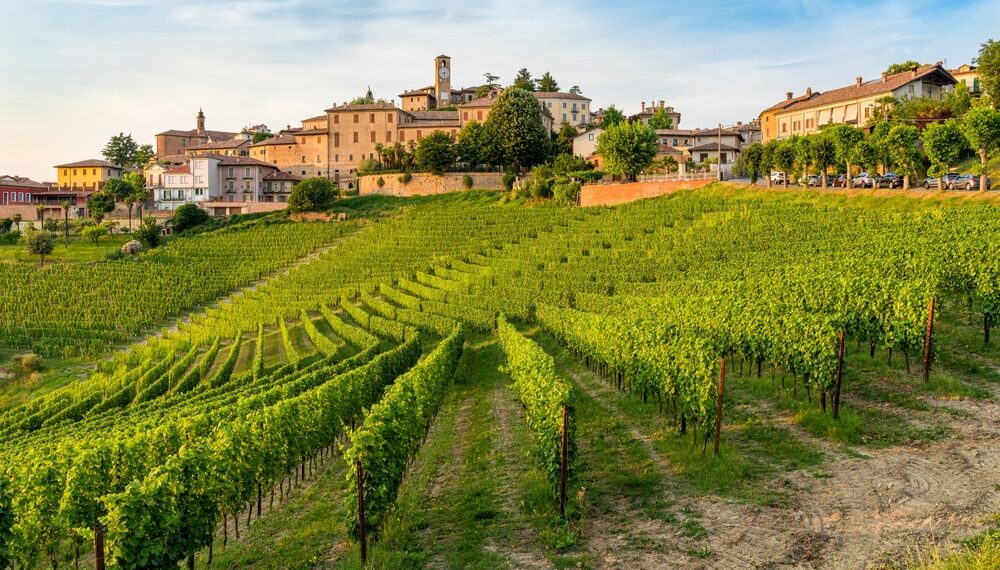 I vini di Langhe e Roero protagonisti alla Festa del Vino di Alba