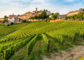 I vini di Langhe e Roero protagonisti alla Festa del Vino di Alba