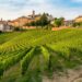 I vini di Langhe e Roero protagonisti alla Festa del Vino di Alba