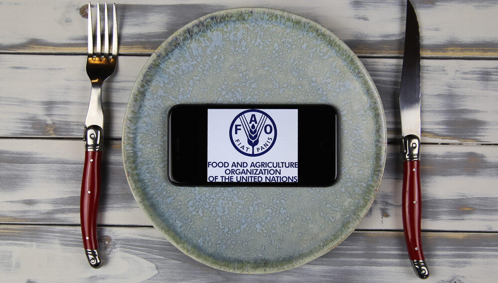 Giornata Mondiale dell’Alimentazione, focus su produzione di cibo