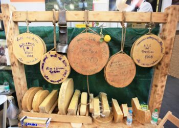 Mostra del Bitto a Morbegno, l’esposizione dei formaggi in concorso