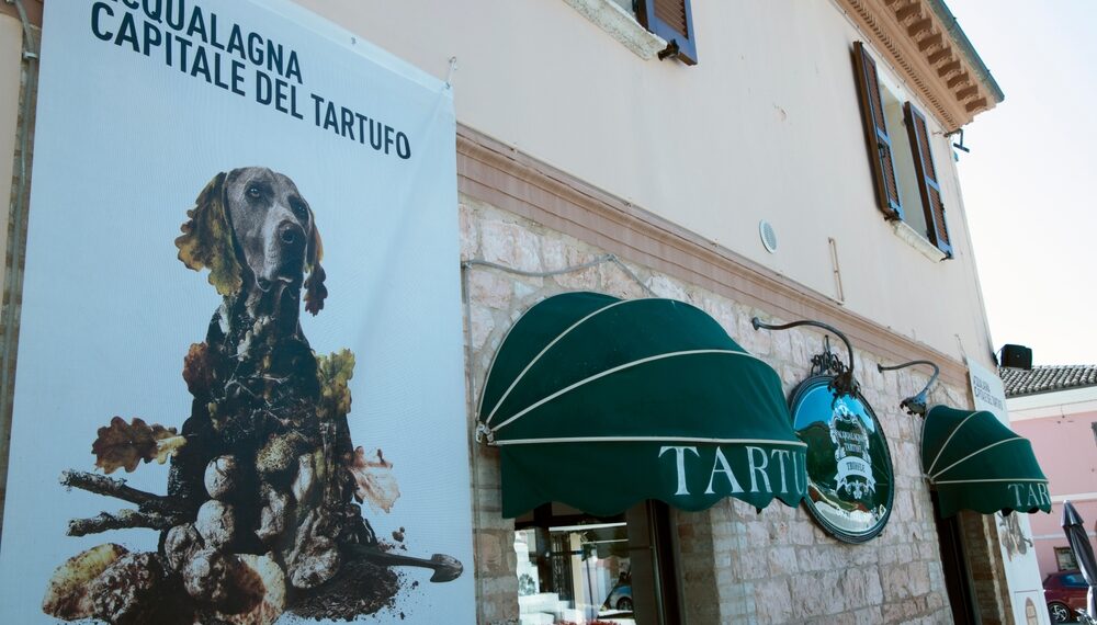 Acqualagna è la capitale del tartufo