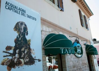 Acqualagna è la capitale del tartufo