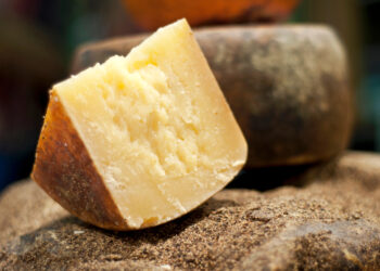 Il formaggio di fossa Dop è stagionato nelle grotte di Sogliano al Rubicone