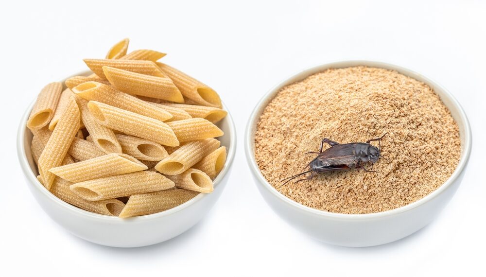 Arriva in Italia la pasta con farina di grillo, che sapore ha?