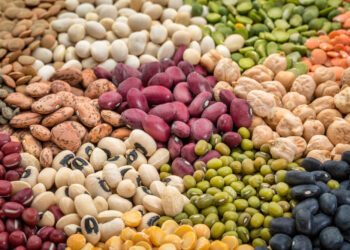 A Natale ecco i cibi che aiutano nella prevenzione dei tumori