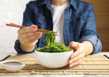 Le alghe sono un’alternativa alle proteine ‘animali’