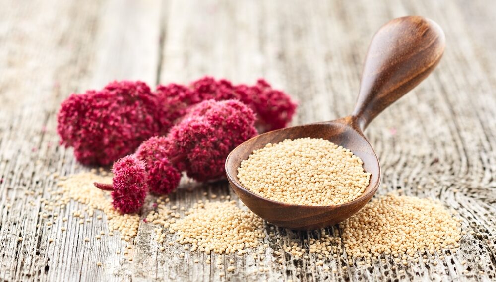 L'amaranto si adatta bene ai climi tropicali e subtropicali