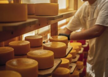 Export di formaggi, i prodotti italiani conquistano l’estero