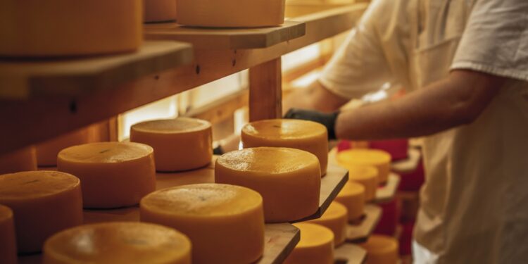 Export di formaggi, i prodotti italiani conquistano l’estero