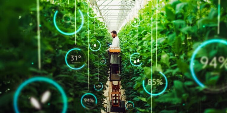 Cibo sostenibile: nasce in Piemonte un Centro studi