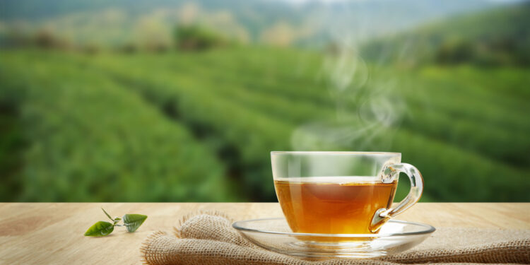 Tre tazze di tè al giorno, il segreto della longevità