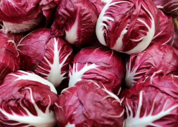 Il radicchio è l’eccellenza gastronomica del Veneto nel mondo