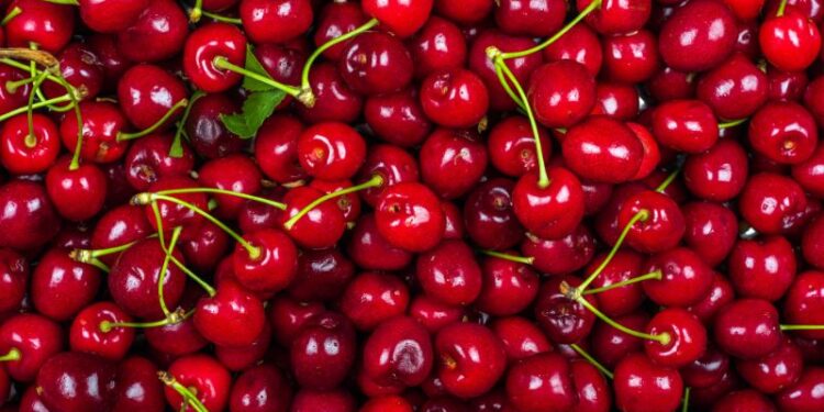 Il cibo italiano conquista l'estero, export a +14%