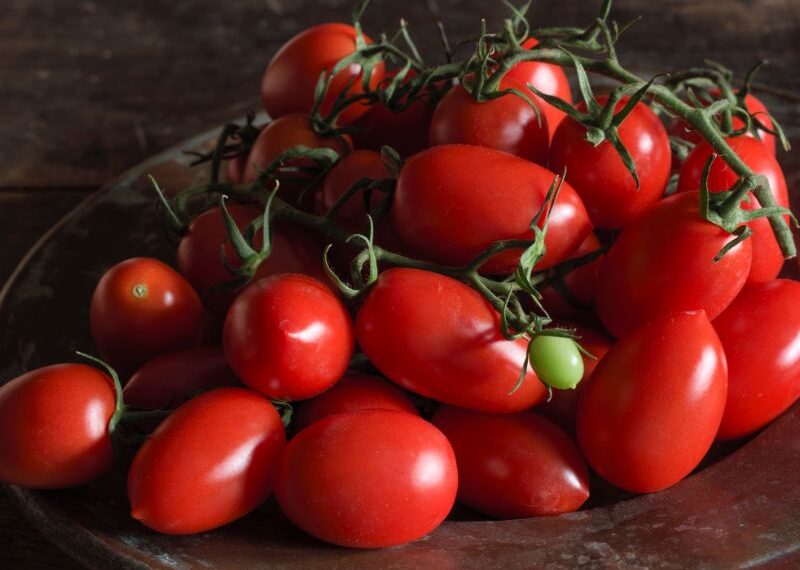 La siccità in Sicilia lascia i pomodori senza acqua