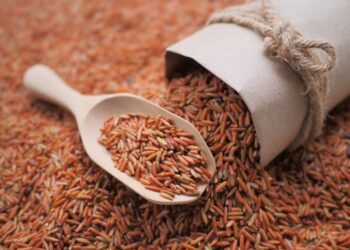 Le proprietà del riso integrale: ecco perché preferirlo a quello bianco