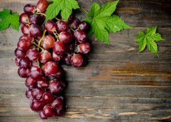 A Vinitaly presentato il sistema per tutelare i prodotti Dop e Igp