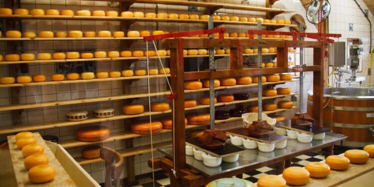 Industria alimentare, vola il “made in Italy”