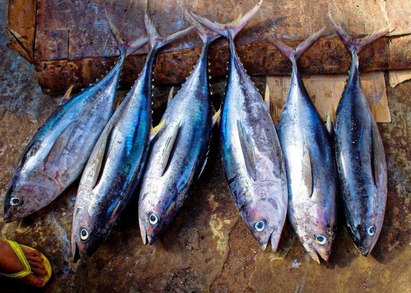 Pesca artigianale, ecco il nuovo presidio Slow Food