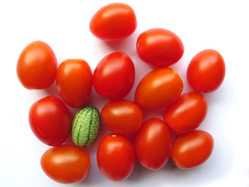 Scopriamo il cucamelon, l’anguria in miniatura che fa impazzire i social
