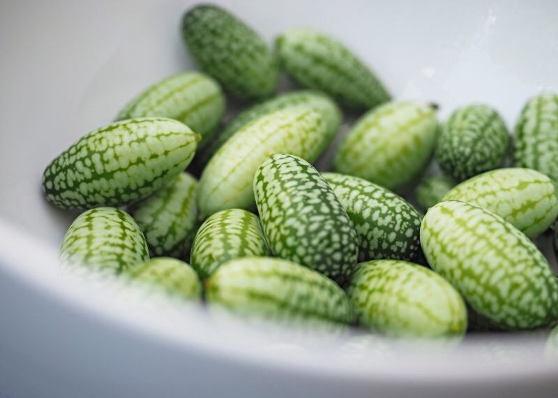 Scopriamo il cucamelon, l’anguria in miniatura che fa impazzire i social